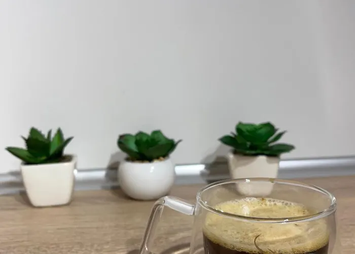 Modern Edge Apartment Bukarest